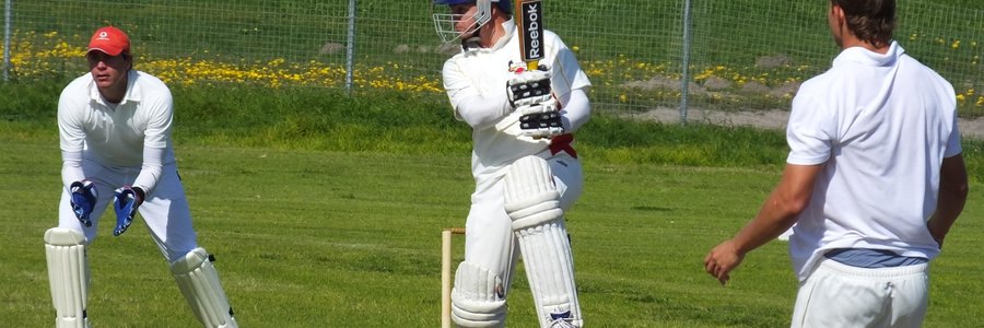  Johathan Doyle kap die bal vir 'n vier in sy beurt van 66 lopies